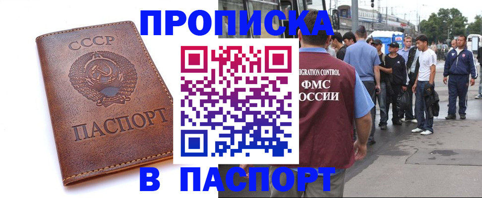 временная регистрация поиск в Электрогорске